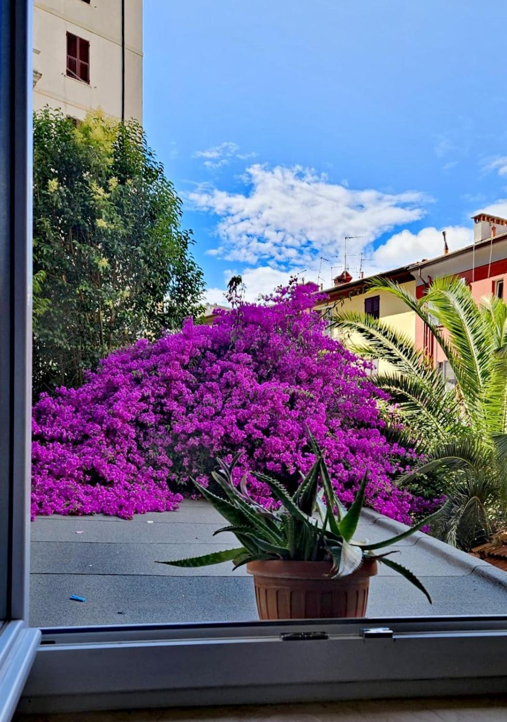 Apartamento Ancora Qui, Nel Golfo Dei Poeti La Spezia Exterior foto